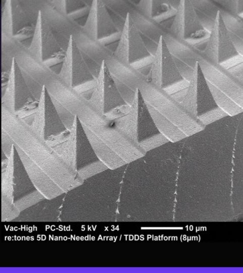 re:tones 5D Nano-Needle Array under SEM